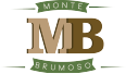 Monte Brumoso